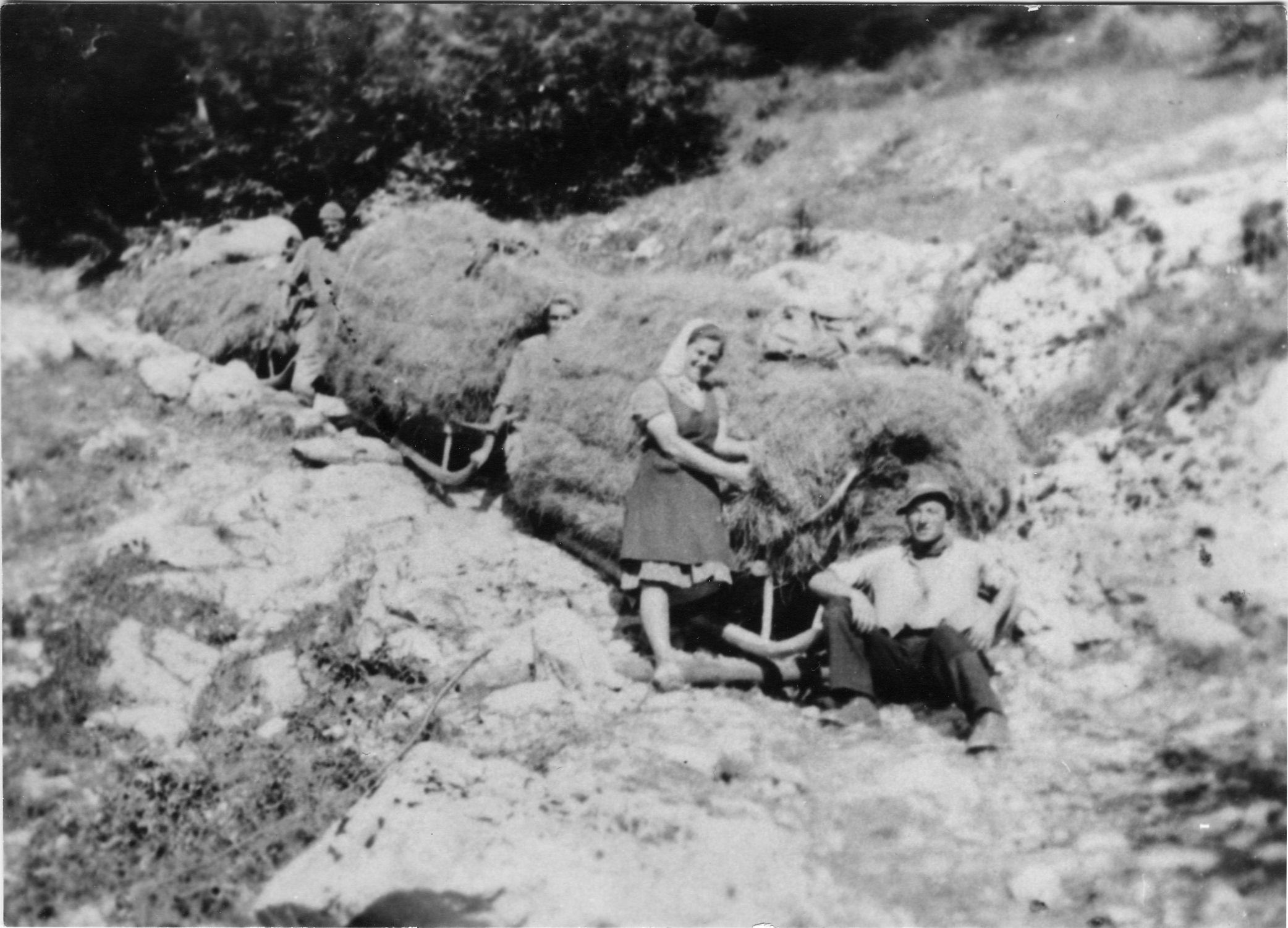 la-sdrodola1